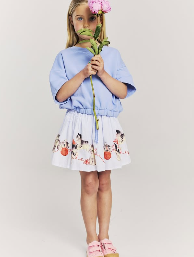 wizz skirt rose